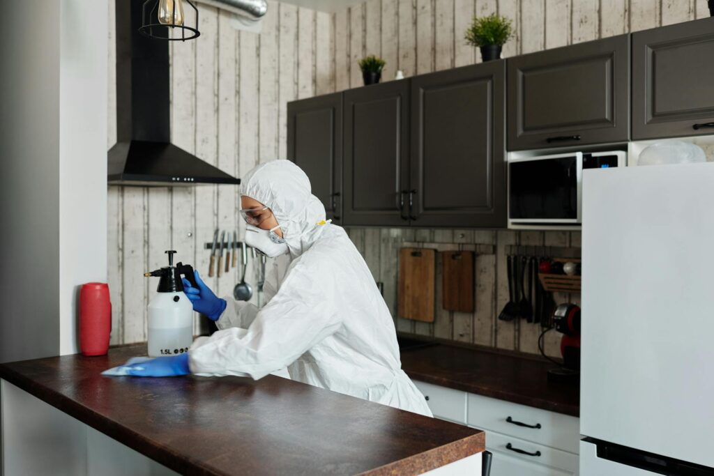a woman cleaning the kitchen